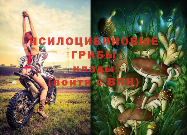 крисы Коряжма