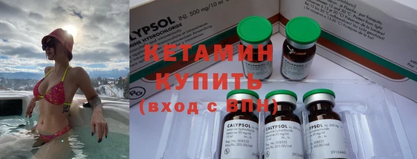 крисы Коряжма