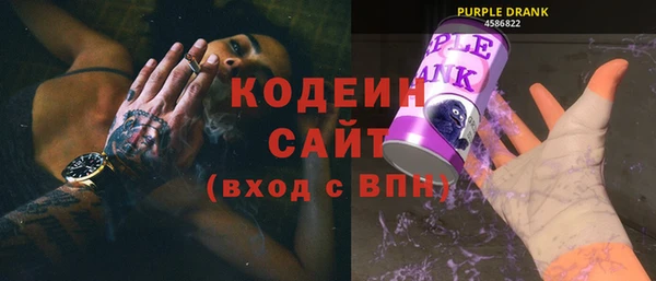 хмурый Нестеровская