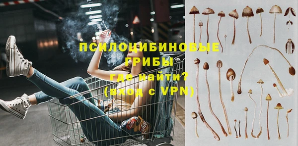крисы Коряжма