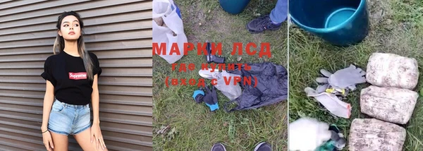 крисы Коряжма