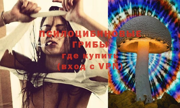 крисы Коряжма