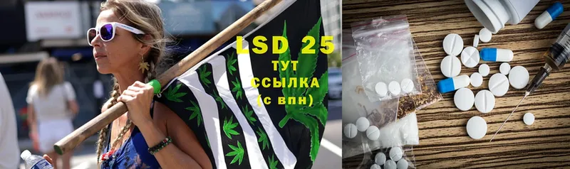 LSD-25 экстази ecstasy  купить   OMG tor  Заволжск 