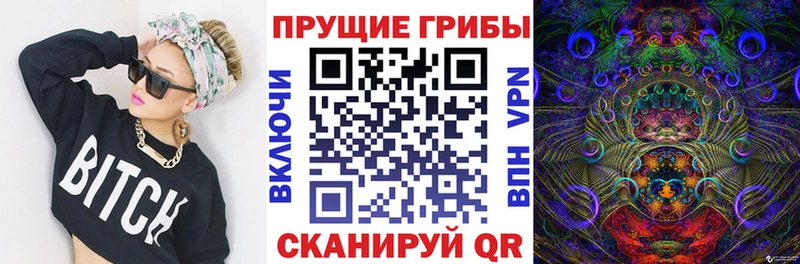 Псилоцибиновые грибы мухоморы Заволжск