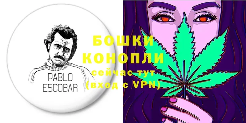 Бошки Шишки White Widow  Заволжск 